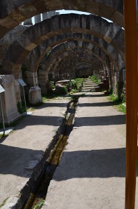 Turkey 089_opt
